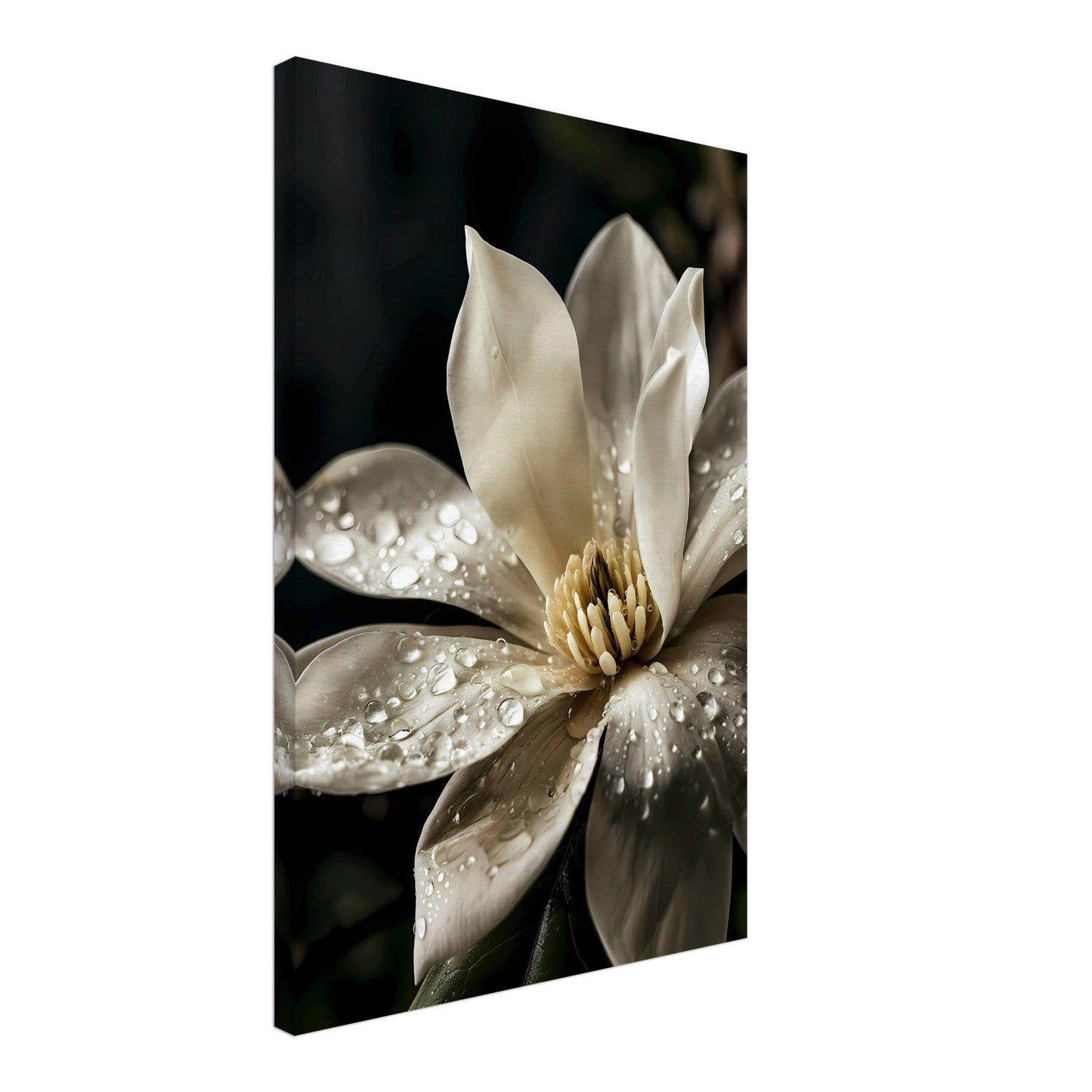 Dewy Elegance — Digital Download