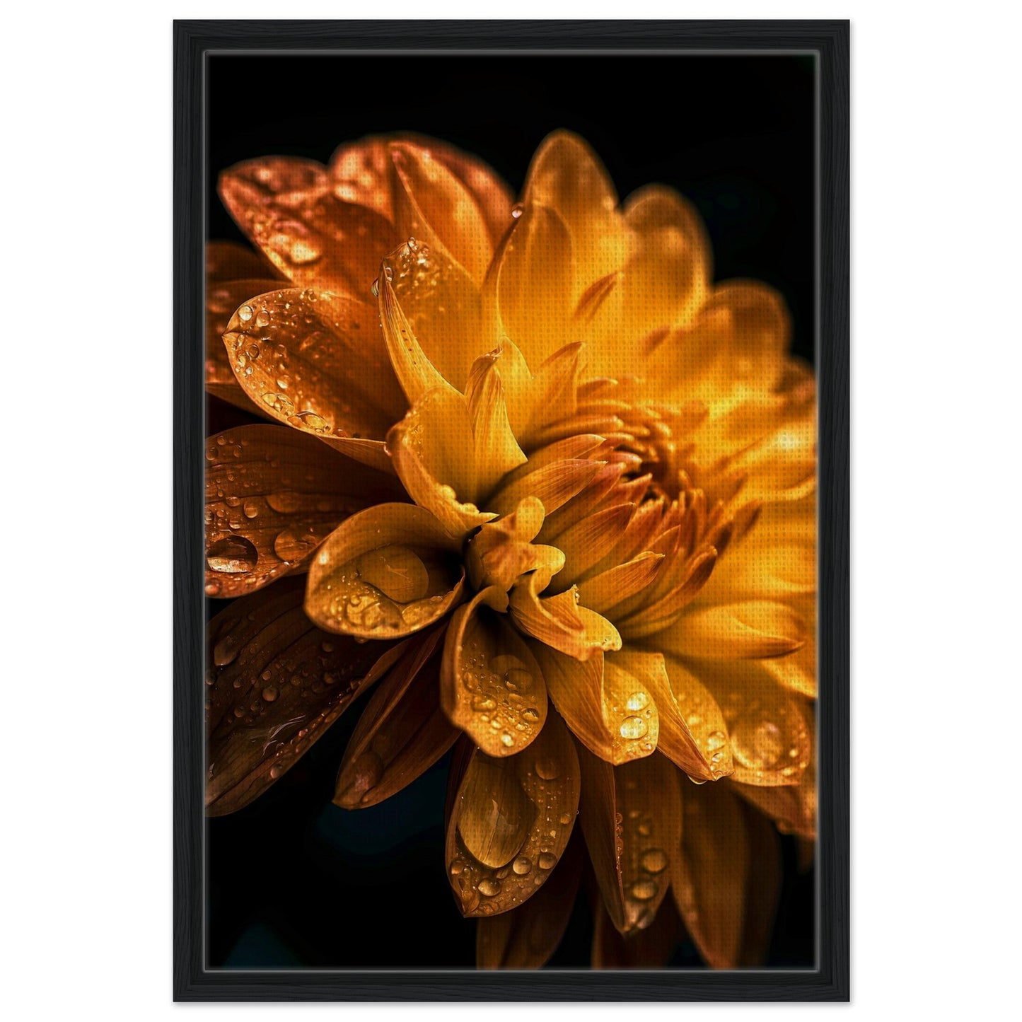 Golden Embrace — Digital Download