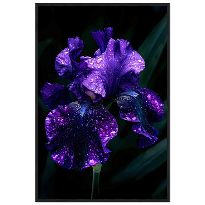 Midnight Bloom — Digital Download