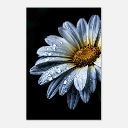 After the Rain — Digital Download