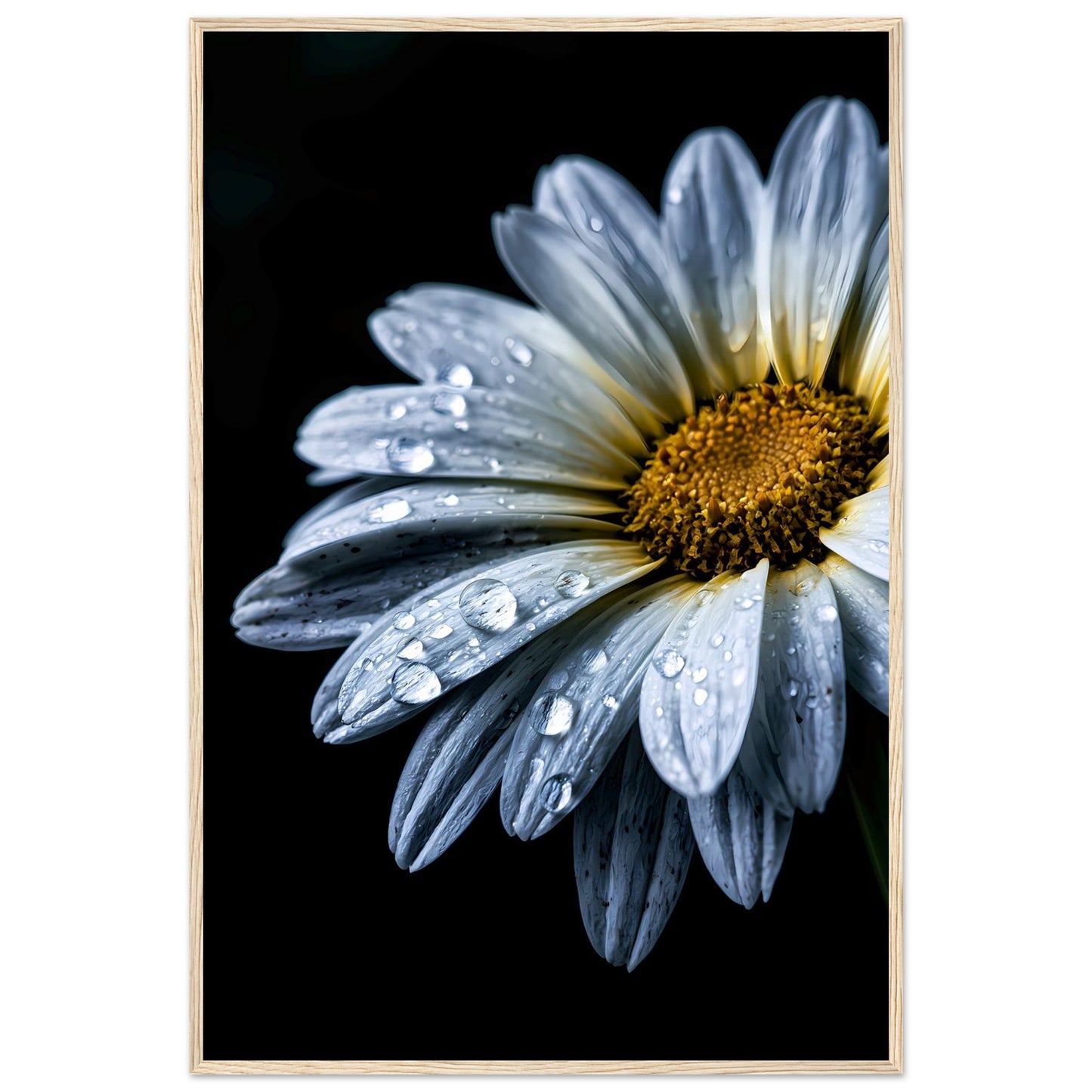 938d2588-7200-4dee-b88b-468de86ff2b0