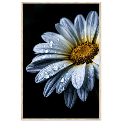 938d2588-7200-4dee-b88b-468de86ff2b0