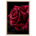Framed Canvas Print