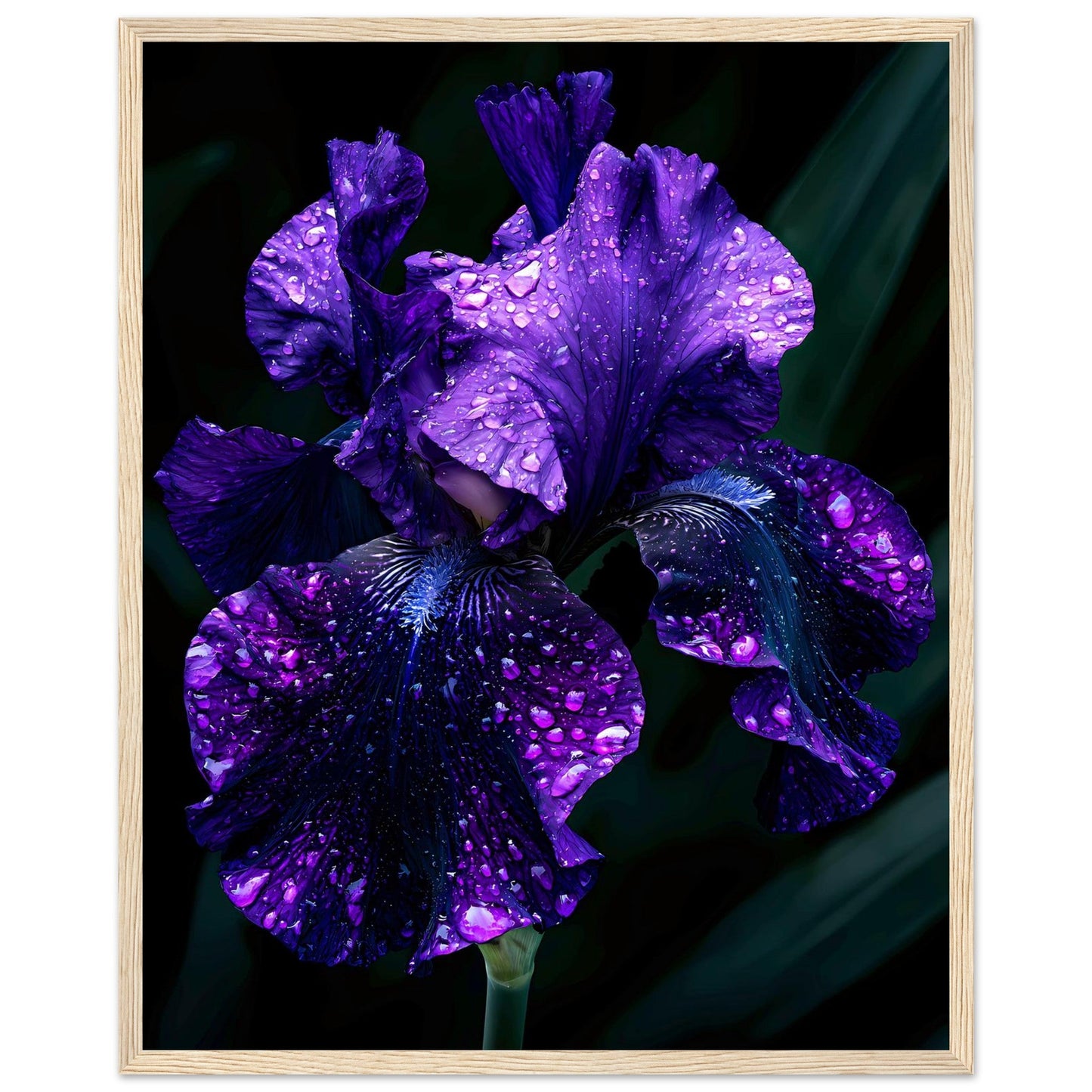 Midnight Bloom — Digital Download