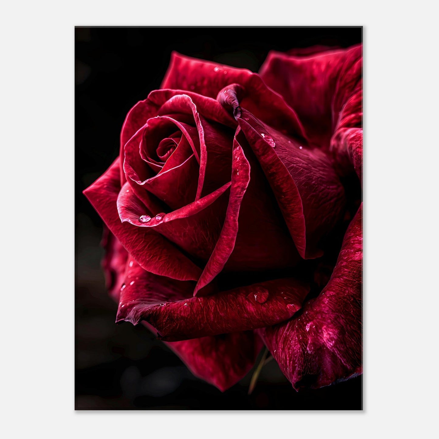 Deep Velvet — Digital Download