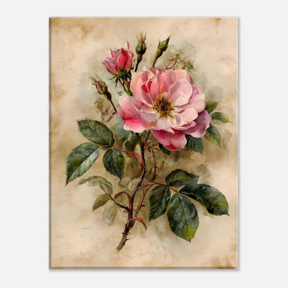 Gentle Bloom — digital download, detail view